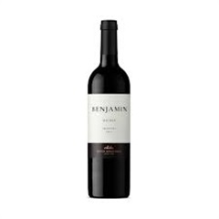 VINO BENJAMIN MALBEC