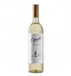 CAFAYATE VINO TORRONTES