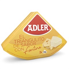 ADLER QUESO FUNDIDO FONTINA 2*50G