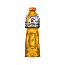 GATORADE MANZANA 1.2L