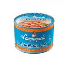 CABALLA L. CAMPAG EN ACEITE