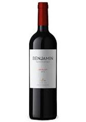 VINO BENJAMIN MERLOT 750ML