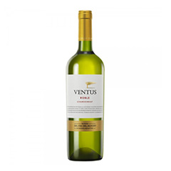 VENTUS ROBLE VINO CHARDONNAY